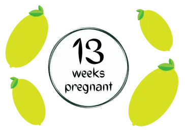 Week 13