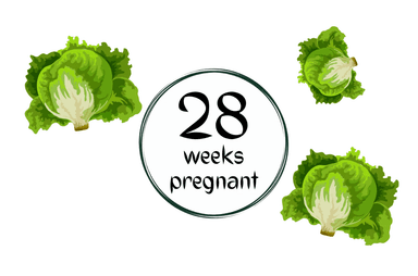 Week 28