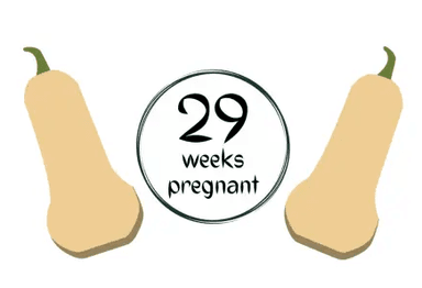 Week 29