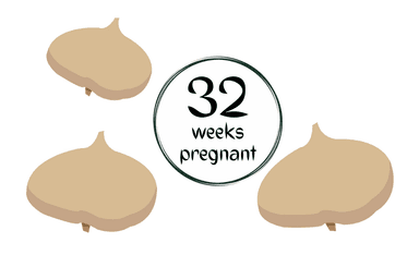 Week 32