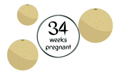 Week 34