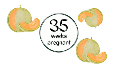 Week 35