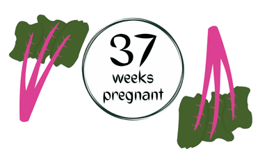 Week 37