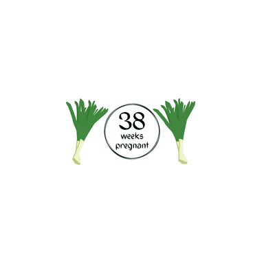 Week 38