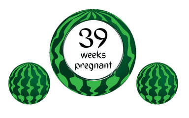 Week 39