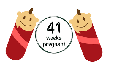Week 41