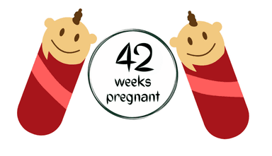 Week 42