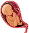 Track your Pregnancy by Week