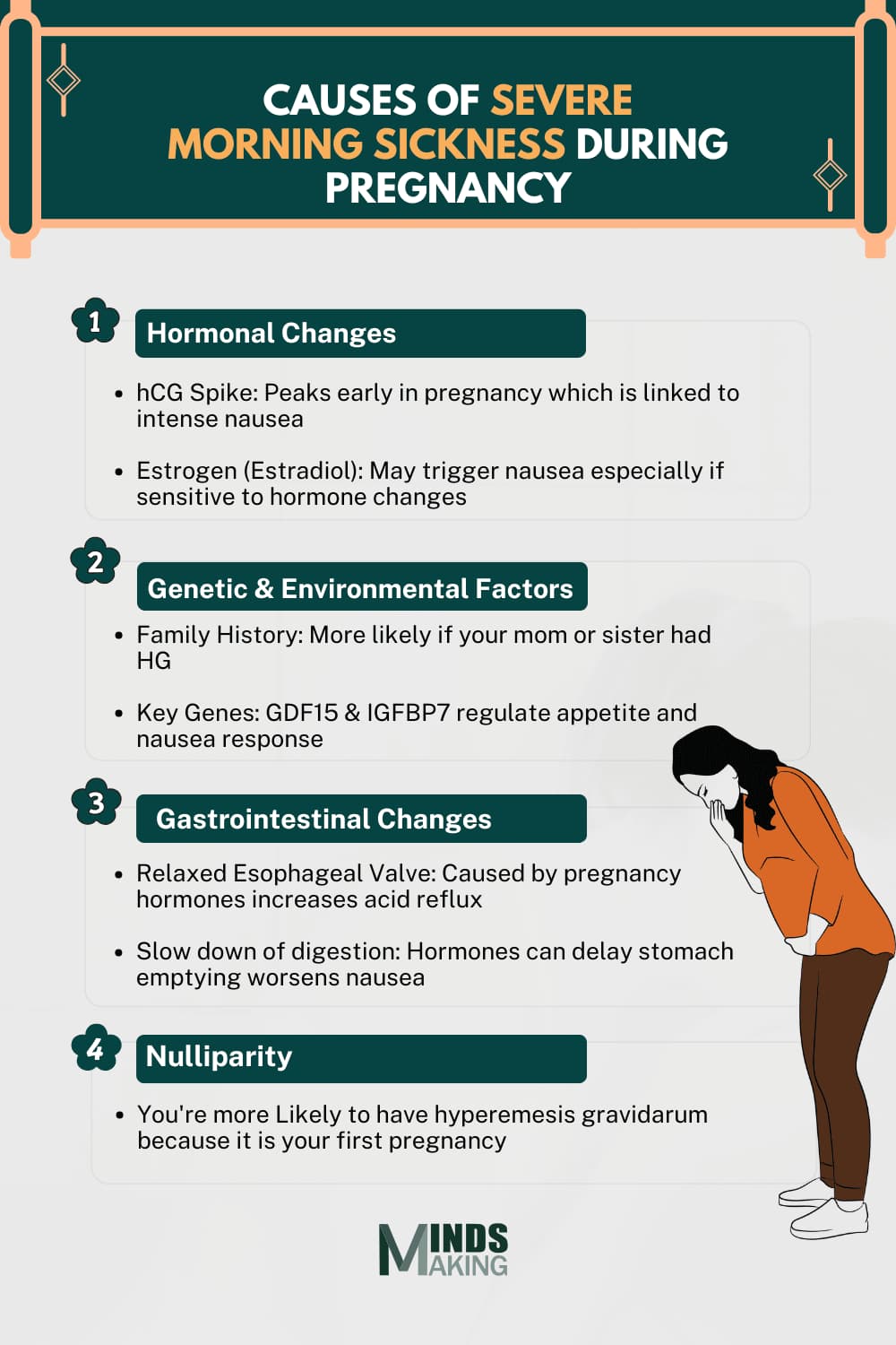 Causes of severe morning sickness during pregnancy include hormonal changes like hCG and estrogen spikes, genetic and environmental factors such as family history and genes (GDF15 & IGFBP7), gastrointestinal changes including a relaxed esophageal valve and slowed digestion, and nulliparity, meaning a higher risk of hyperemesis gravidarum during a first pregnancy. An informative visual designed by Mindsmaking