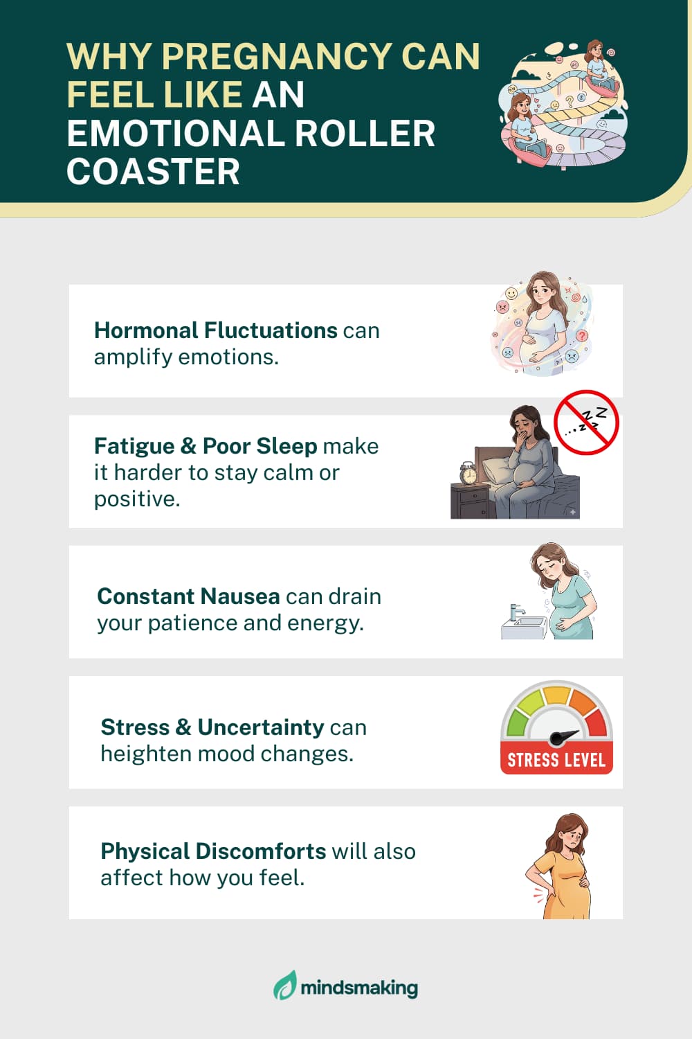 Infographic titled 'Why Pregnancy Can Feel Like An Emotional Roller Coaster' listing five reasons: Hormonal Fluctuations, Fatigue & Poor Sleep, Constant Nausea, Stress & Uncertainty, and Physical Discomforts."
