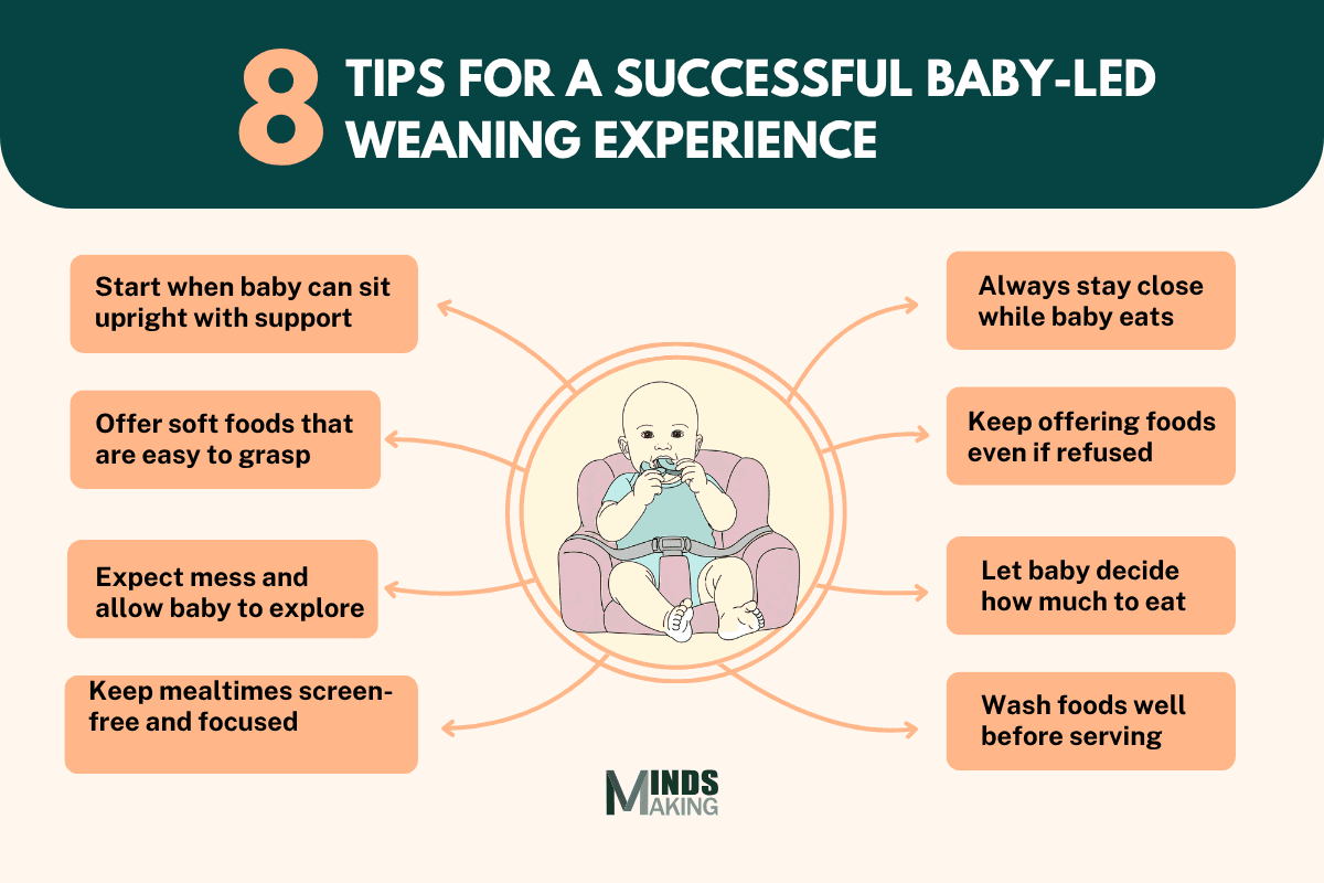 Infographic: 8 tips for a successful baby-led weaning experience, including starting when baby can sit, offering soft foods, expecting mess, screen-free mealtimes, staying close, offering refused foods, letting baby decide, and washing foods.