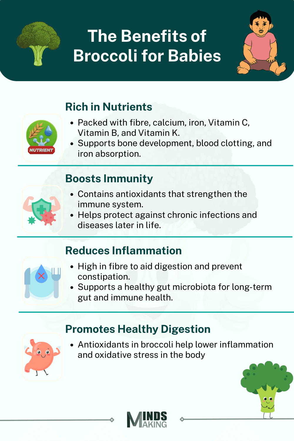 The benefits of broccoli for babies include: rich in nutrients like fiber, calcium, and vitamins C and K; boosts immunity; reduces inflammation; and promotes healthy digestion. A colorful, nutrition-focused baby food guide by Mindsmaking.
