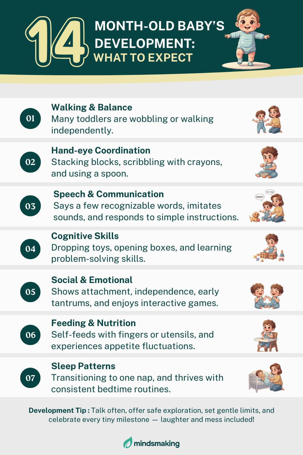 Infographic titled "14 Month-Old Baby's Development: What to Expect" on a green and white background, detailing seven key developmental areas and a general tip for a baby.