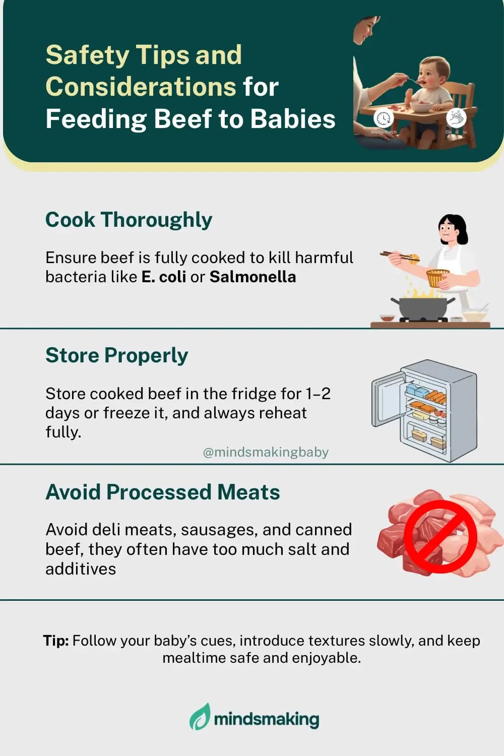 Infographic showing the nutritional benefits of beef for babies, including protein, iron, and zinc, alongside serving suggestions.