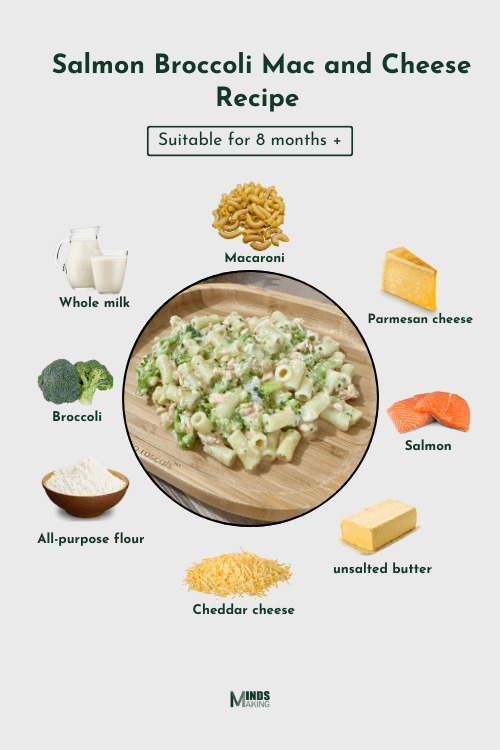 Salmon Broccoli Mac and Cheese recipe for babies 8 months and older, made with ingredients like: macaroni, fresh salmon, broccoli, cheddar cheese, parmesan cheese, whole milk, unsalted butter, and all-purpose flour. A creamy and wholesome baby-friendly meal designed by MindsMaking.