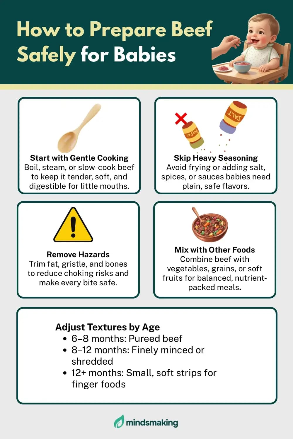 Visual chart showing recommended age for introducing beef, serving sizes, and how to avoid choking hazards.