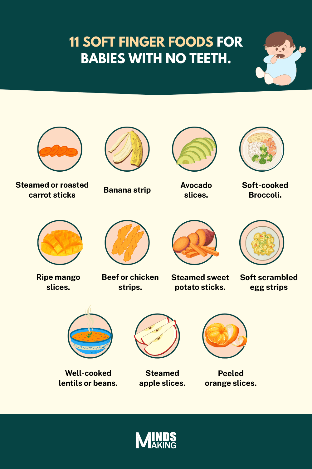11 soft finger foods for babies with no teeth, including: 1) Steamed or roasted carrot sticks, 2) Banana strips, 3) Avocado slices, 4) Soft-cooked broccoli, 5) Ripe mango slices, 6) Beef or chicken strips, 7) Steamed sweet potato sticks, 8) Soft scrambled egg strips, 9) Well-cooked lentils or beans, 10) Steamed apple slices, and 11) Peeled orange slices. A nutritious baby feeding