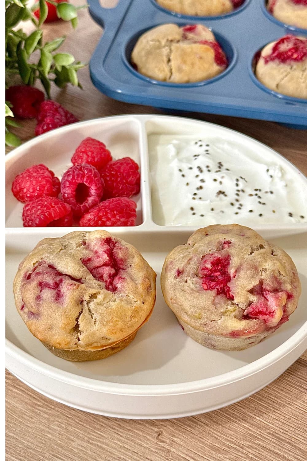 A pair of freshly baked raspberry muffins are presented on a white, divided plate, alongside a pile of fresh raspberries and a section of yogurt topped with chia seeds.