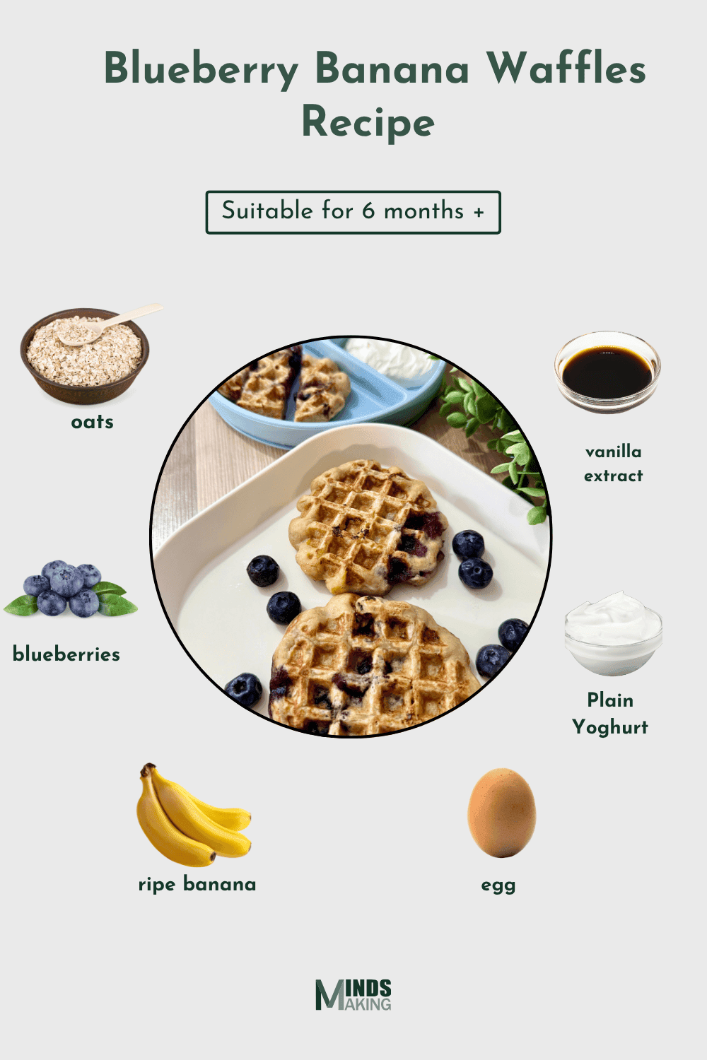 Blueberry Banana Waffles recipe for babies 6 months and older, made with ingredients like: oats, vanilla, blueberries, and ripe banana. A healthy and easy-to-make nutritious homemade baby food recipe designed by Mindsmaking .