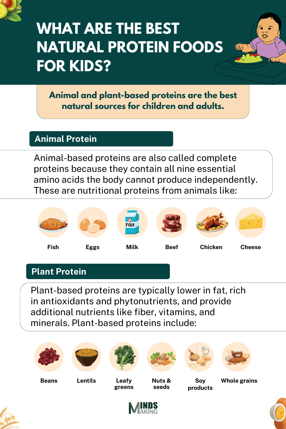 Illustration or image showing a variety of animal-based proteins like eggs, milk, and fish, alongside plant-based proteins such as beans, lentils, and nuts, emphasizing their role as the best natural protein sources for both children and adults.