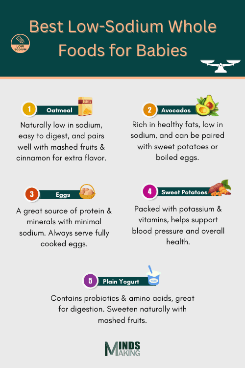 How to Maintain a Healthy Balance: Best Low-Sodium Whole Foods for Babies Infographic listing low-sodium whole foods for babies, with the title, "Best Low-Sodium Whole Foods for Babies."