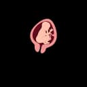 "Ultrasound image of fetus sucking thumb in the womb, an early developmental behavior observed during pregnancy"