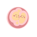 Two sets of cells