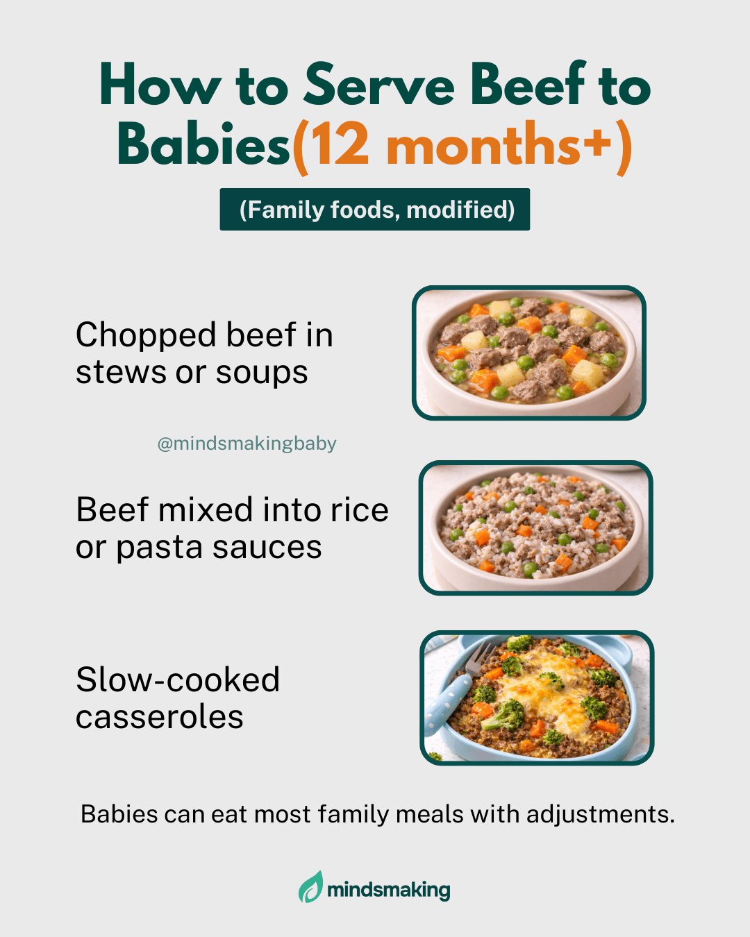 Visual chart showing recommended age for introducing beef, serving sizes, and how to avoid choking hazards.