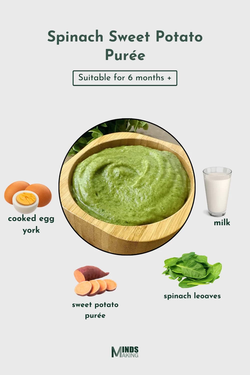 Spinach Sweet Potato Purée recipe for babies 6 months and older, made with ingredients like cooked egg yolk, sweet potato purée, spinach leaves, and milk. A smooth, nutritious, and easy-to-digest homemade baby food recipe designed by MindsMaking.