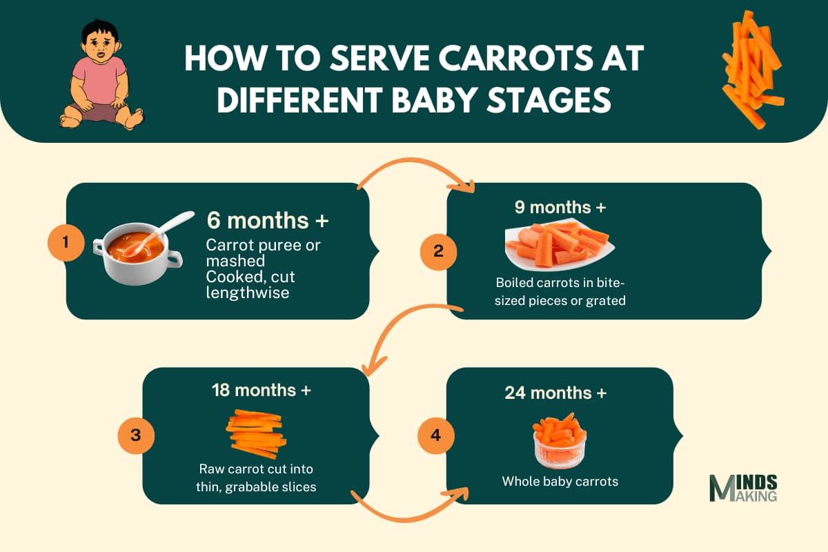 A visual guide for serving carrots to babies: At 6 months, give soft mashed or cooked carrot sticks. At 9 months, offer small boiled pieces or grated carrot. At 18 months, serve thin raw carrot slices that are easy to hold. By 24 months, babies can eat whole baby carrots.