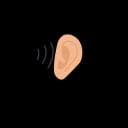 A fetus feeling sensitive to hearing in the womb.