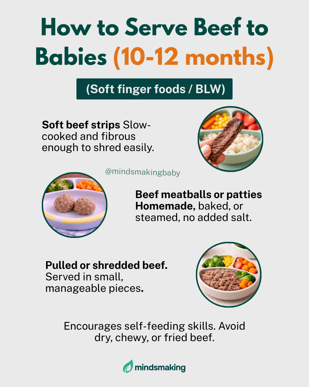 Parent feeding a baby mashed beef mixed with vegetables, demonstrating nutritious first-meal ideas for infants.