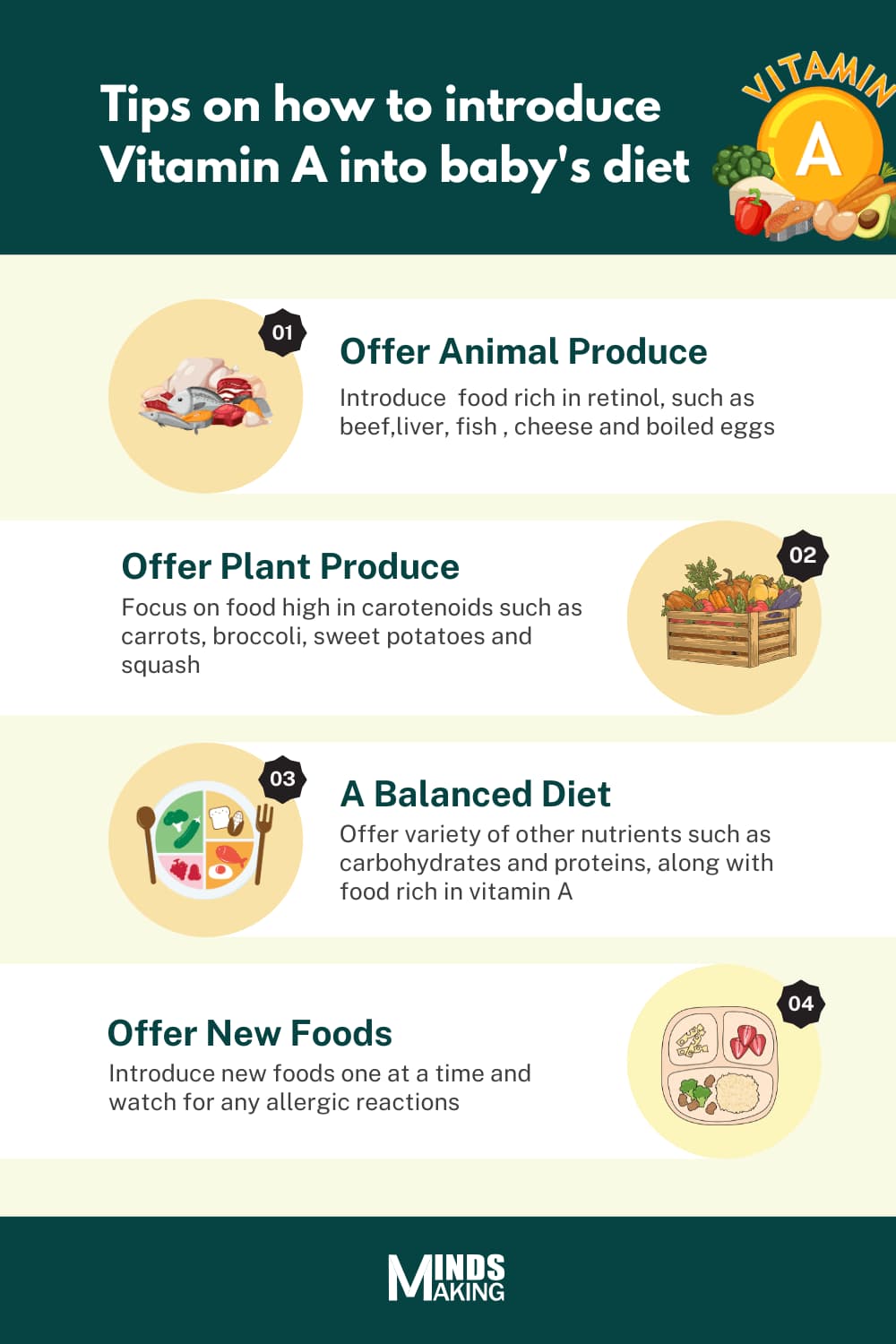 "Infographic with tips on how to introduce Vitamin A into a baby’s diet, including animal produce like liver and eggs, plant sources like carrots and broccoli, maintaining a balanced diet, and introducing new foods carefully. Created by Minds Making."