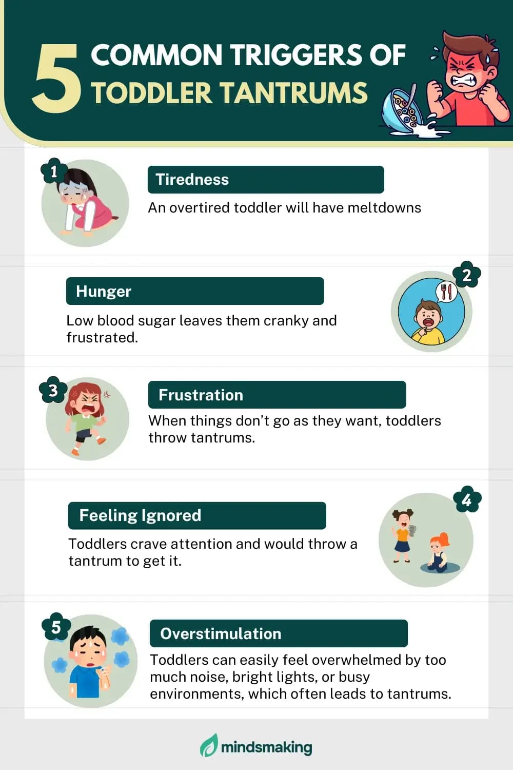 Visual guide outlining five common toddler tantrum triggers with icons—hunger, fatigue, overstimulation, frustration, and routine changes—paired with preventative strategies to help parents reduce meltdowns before they start.