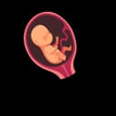 A fetus displaying movement in the womb.