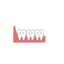 Growing tooth buds