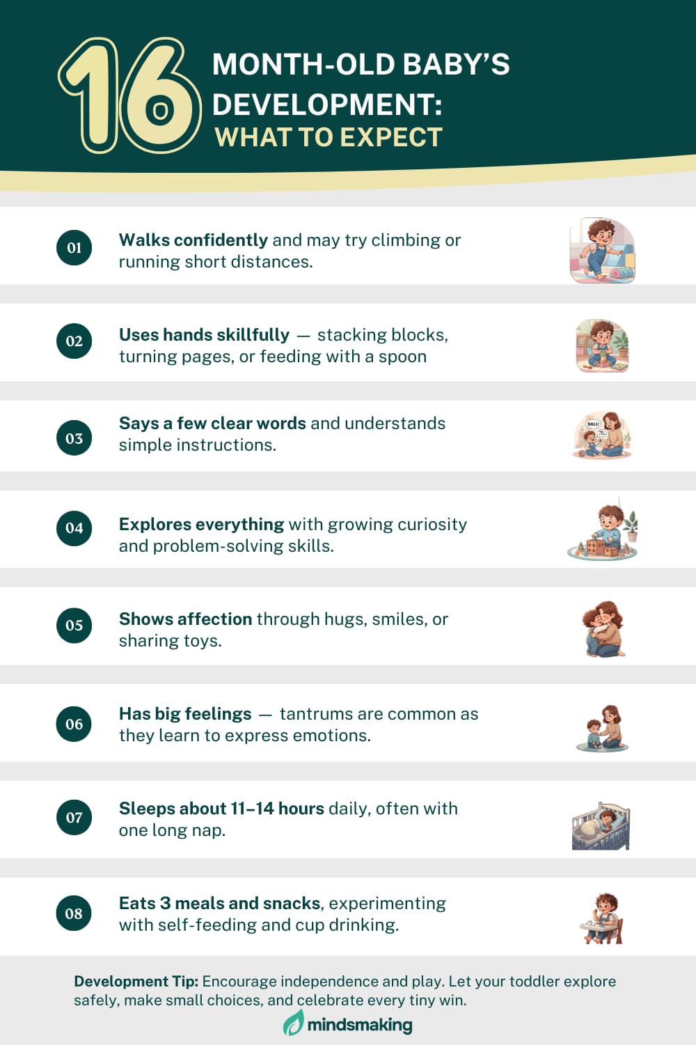 Infographic: 16-Month-Old Baby's Development and Milestones. What to expect in terms of walking, fine motor skills (stacking, spoon), language, tantrums, sleep, and self-feeding.