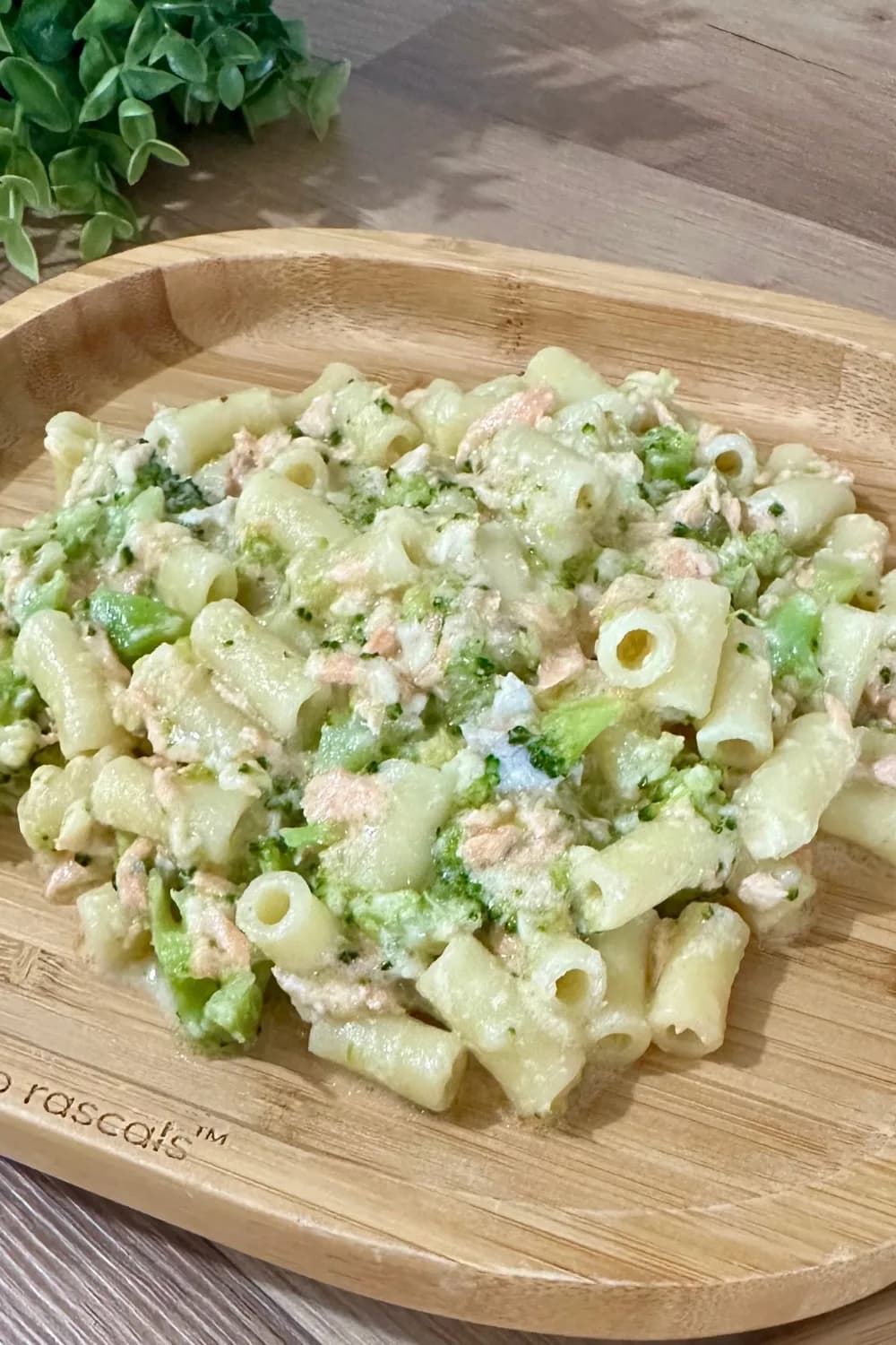 A delicious bowl of salmon broccoli mac and cheese, featuring creamy cheese sauce, tender salmon chunks, and fresh broccoli for a healthy, comforting meal.