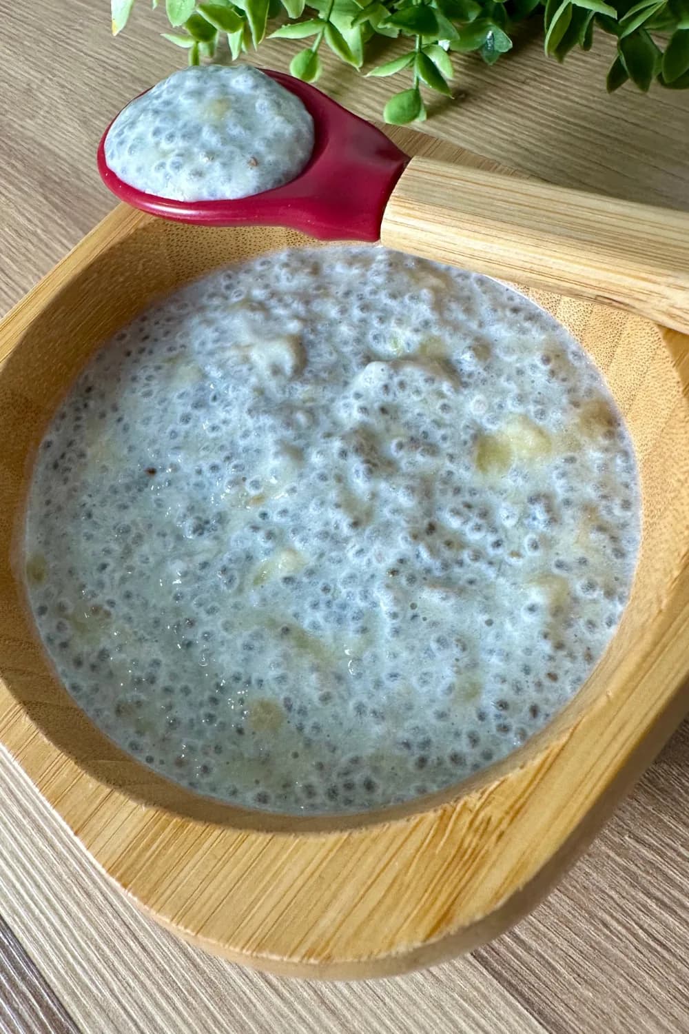 Apple Banana Chia Pudding