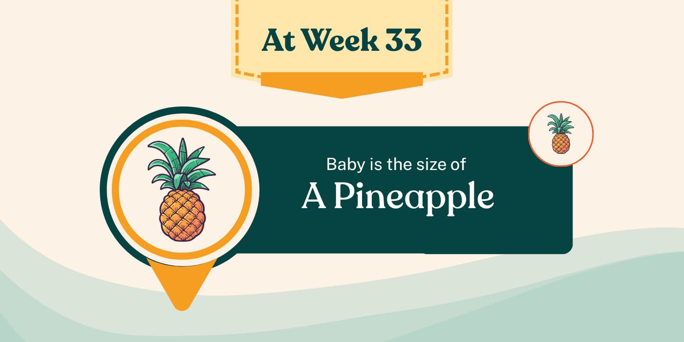 Your Pregnancy at Week 33