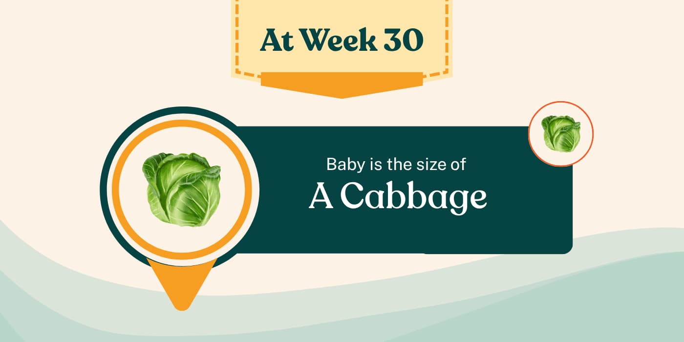 Your Pregnancy at Week 30