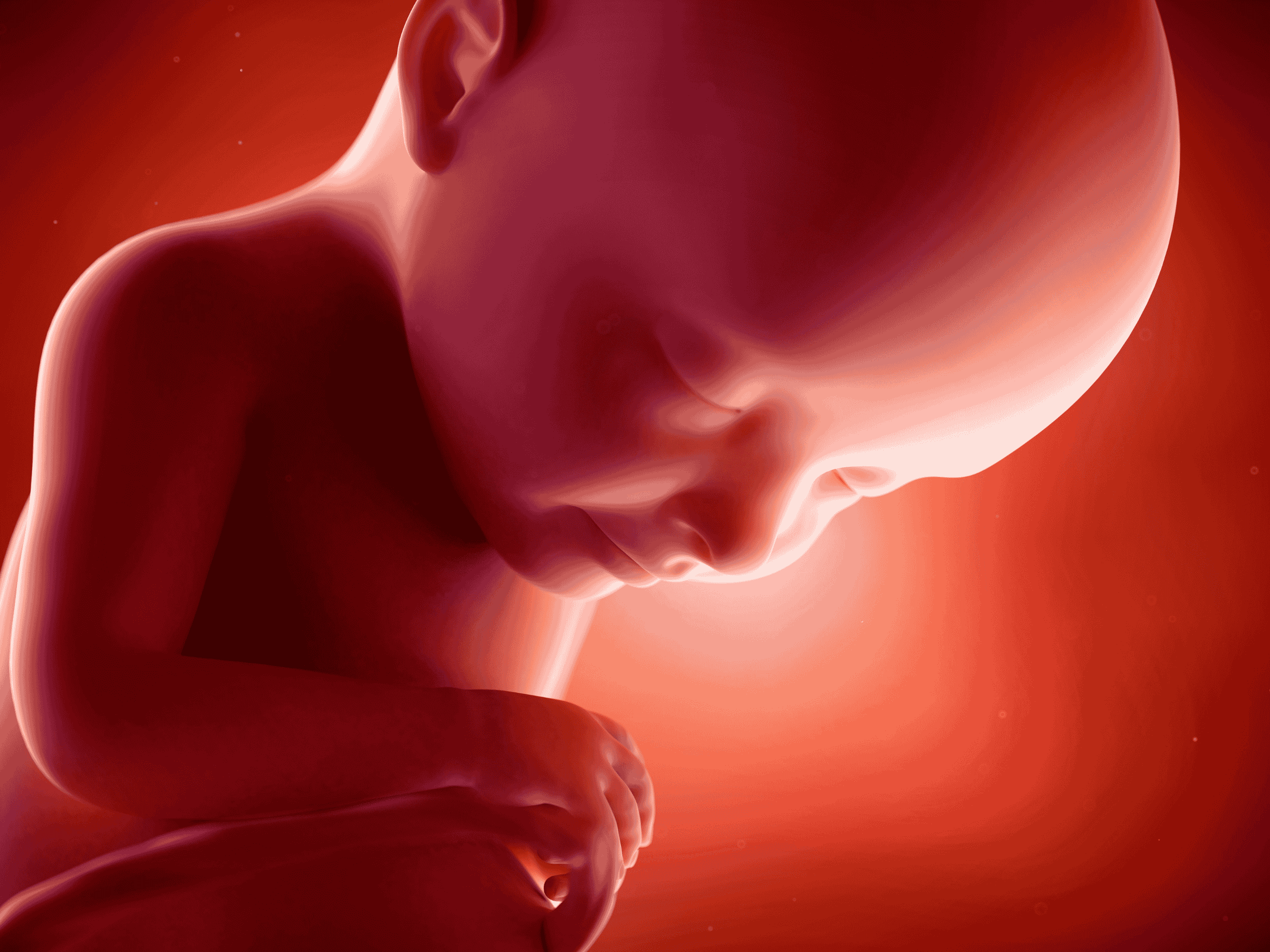 Your Pregnancy at Week 28