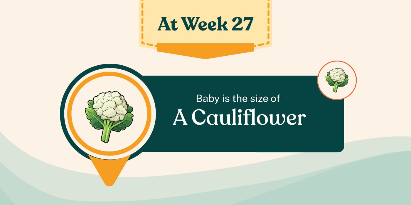 Your Pregnancy at Week 27