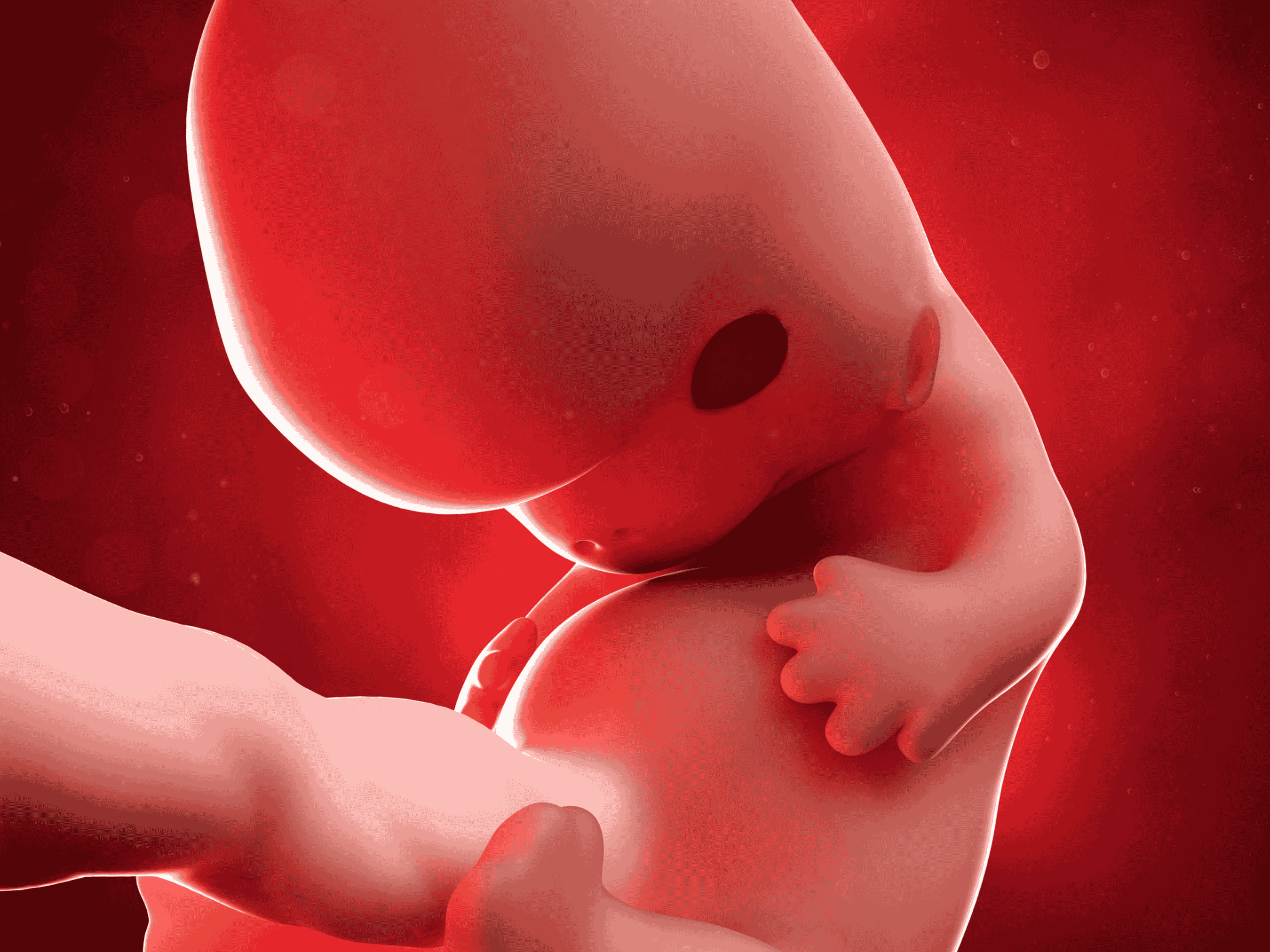 Your Pregnancy At Week 8