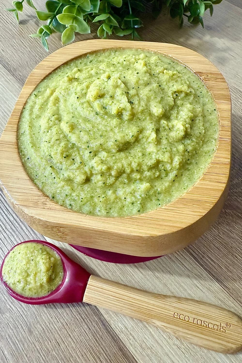 Chicken broccoli and sweet potato puree
