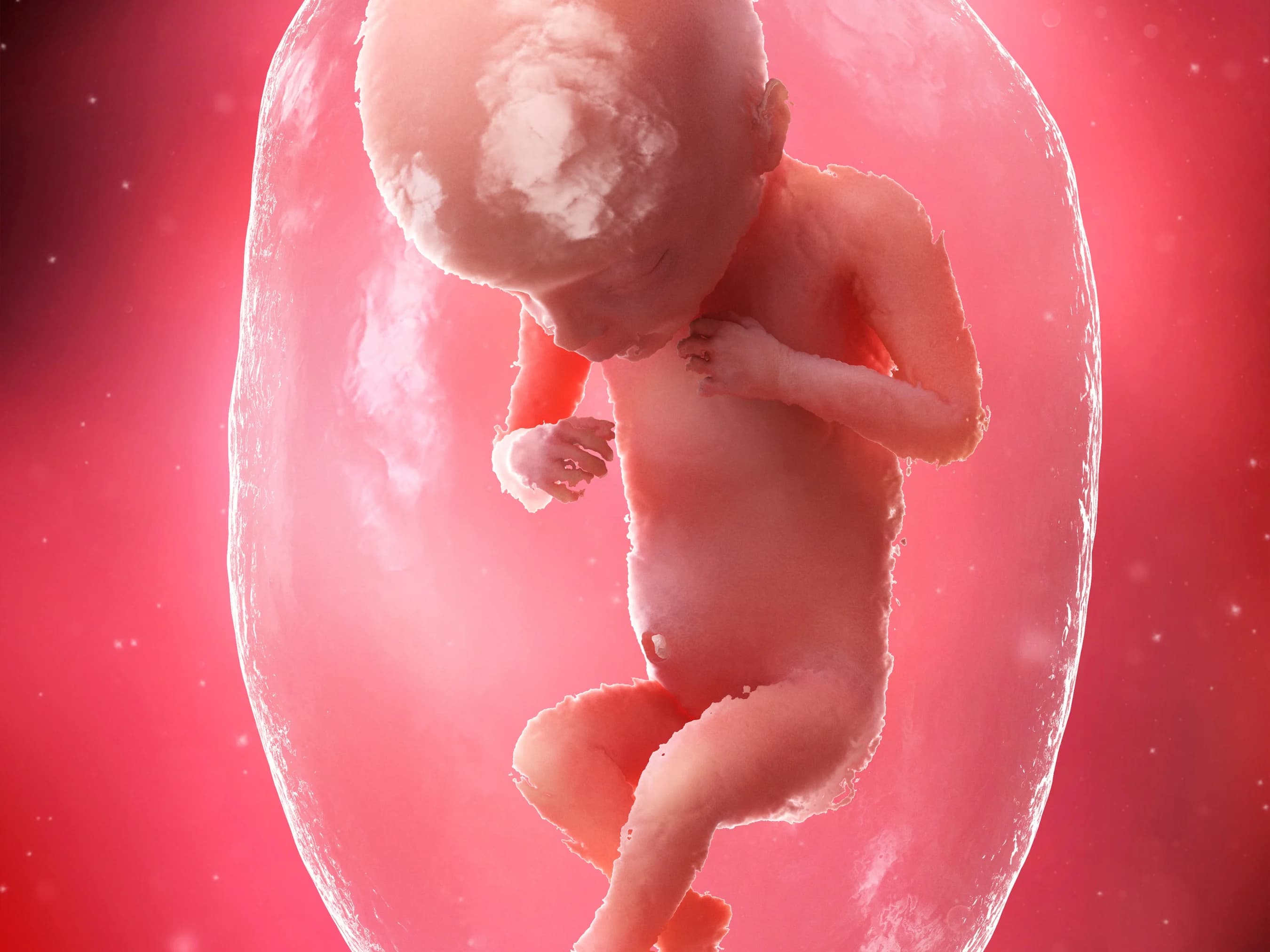 Your Pregnancy at Week 18