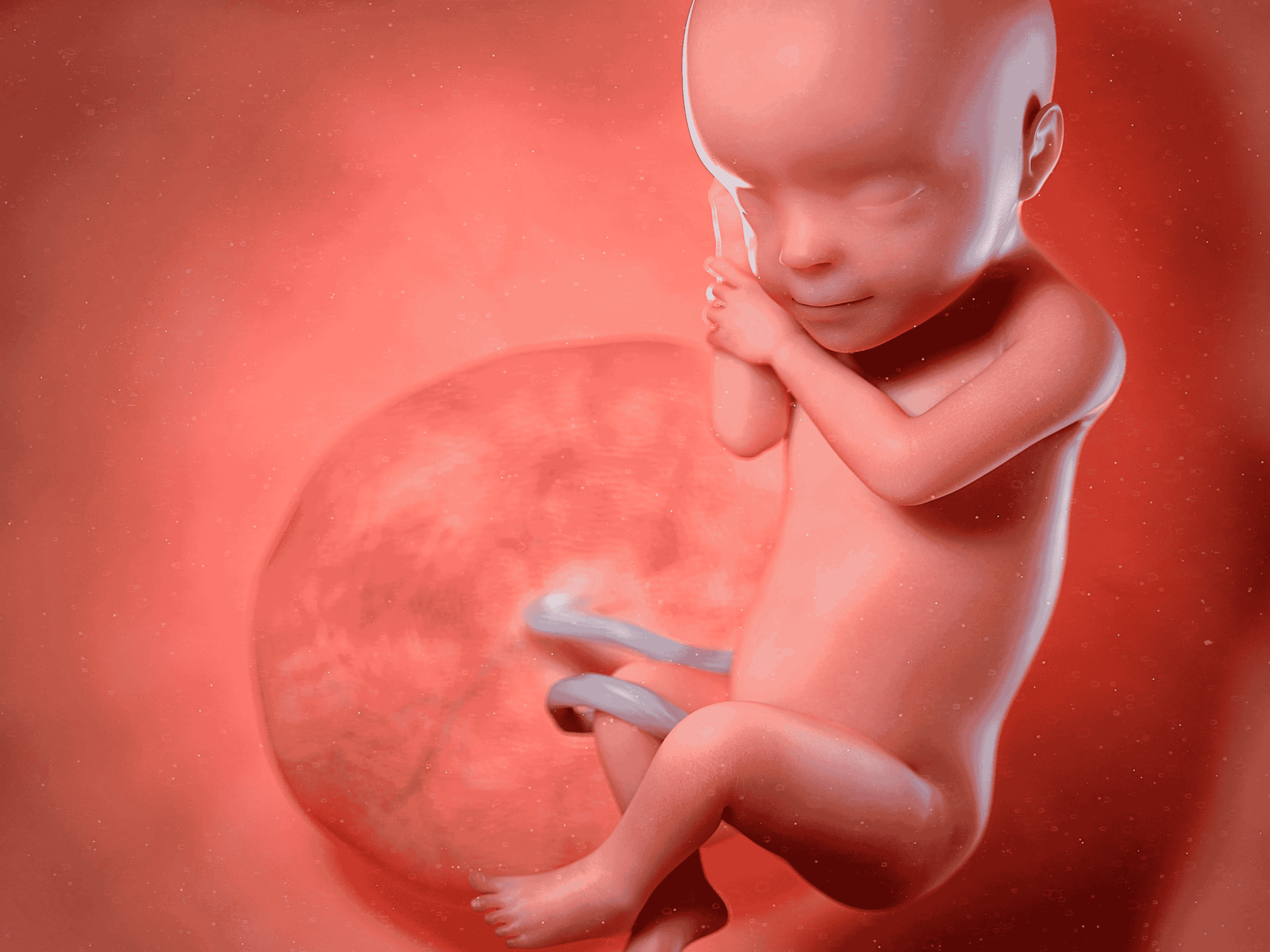 Your Pregnancy at Week 30