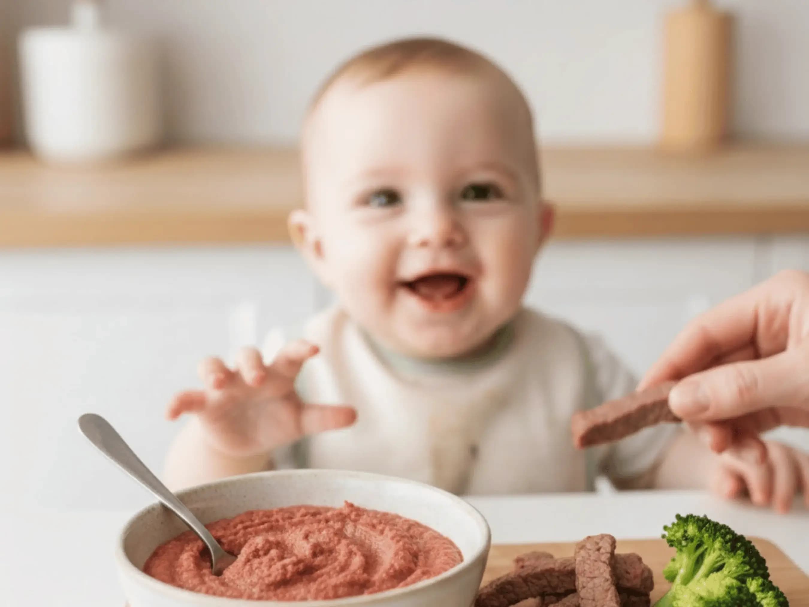 Beef for Babies: When & How to Introduce It Safely