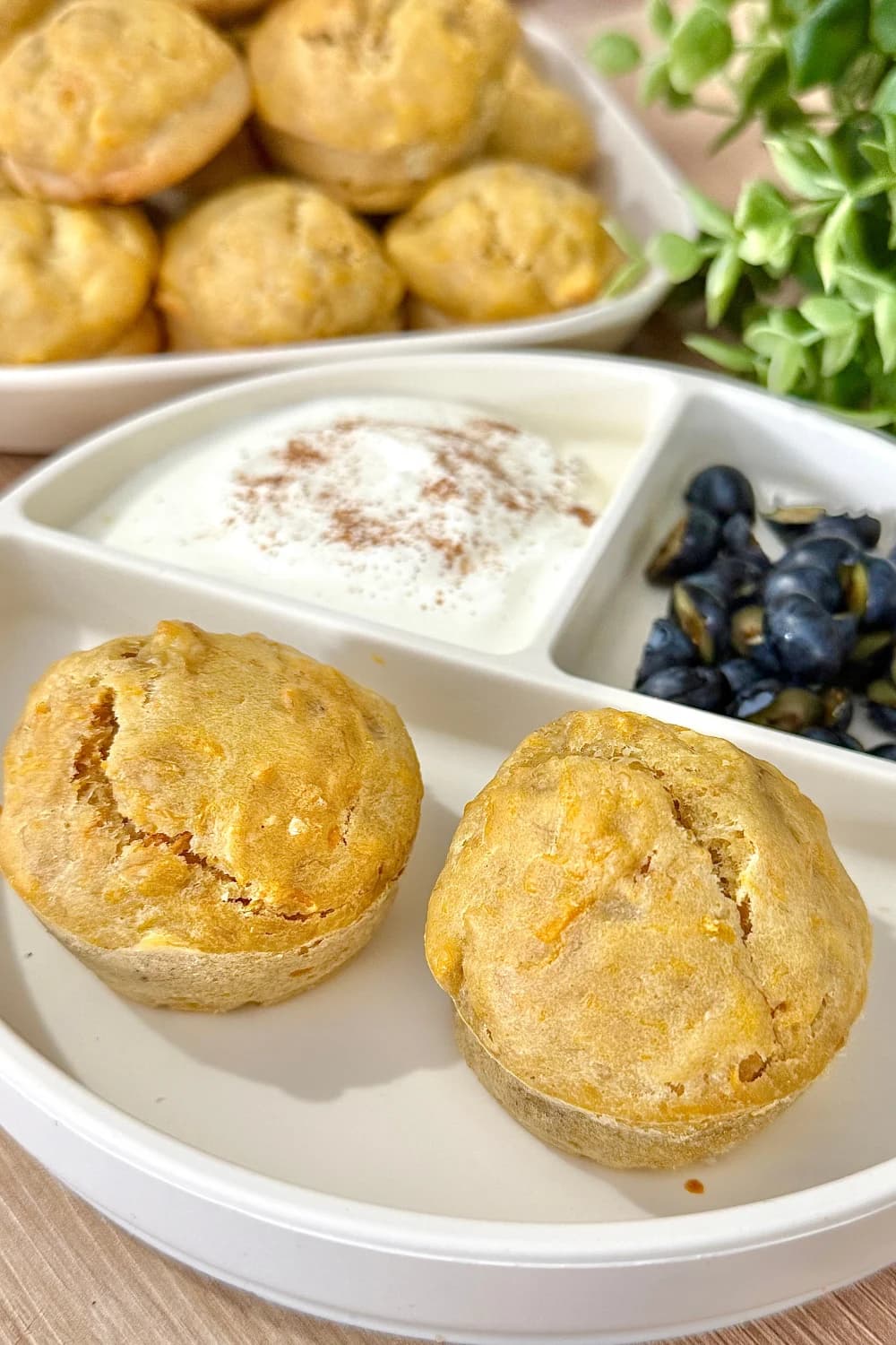 "Close-up of two golden homemade banana muffins on a white divided plate, with creamy yogurt and blueberries in the background."