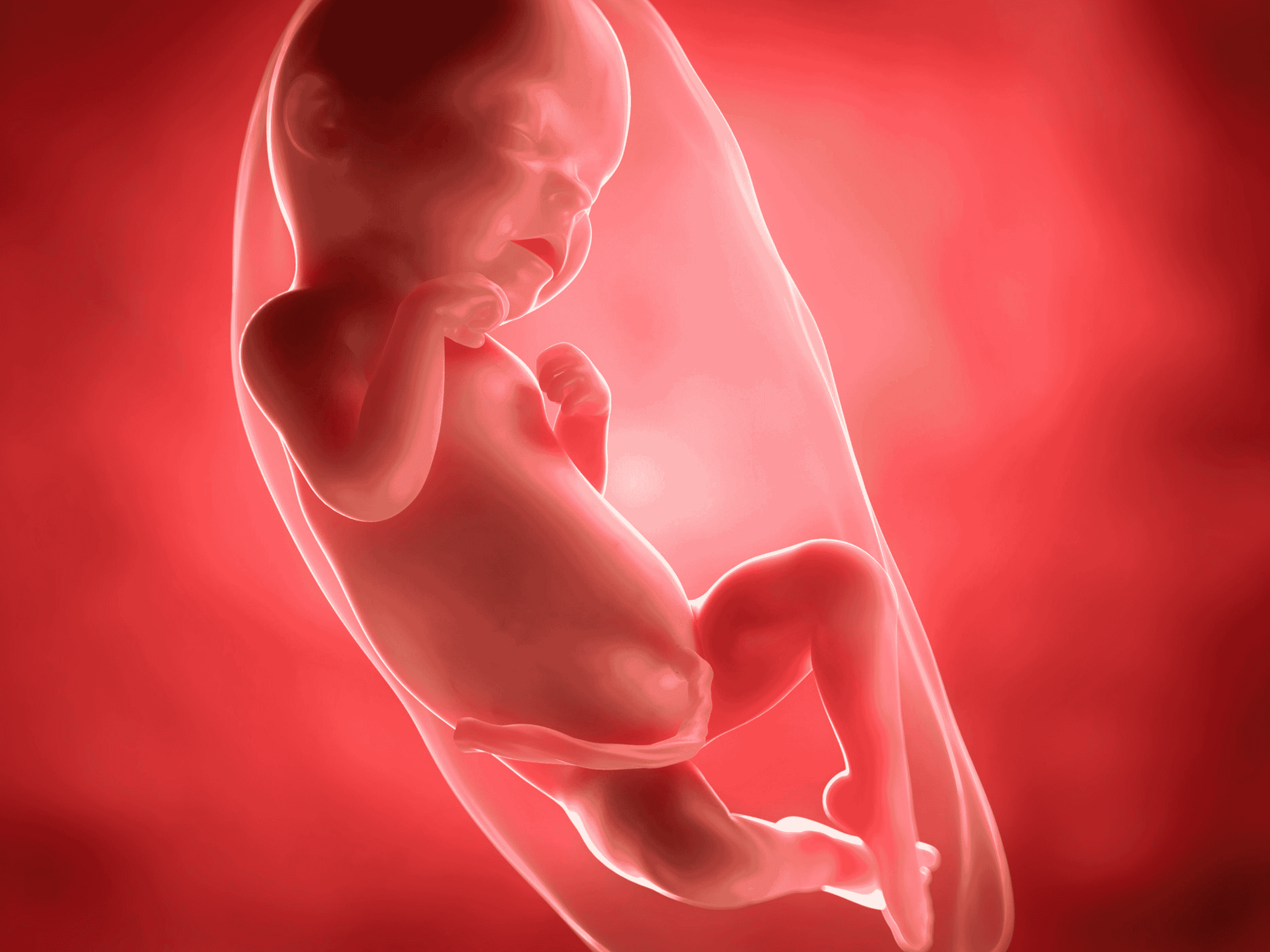 Your Pregnancy at Week 25